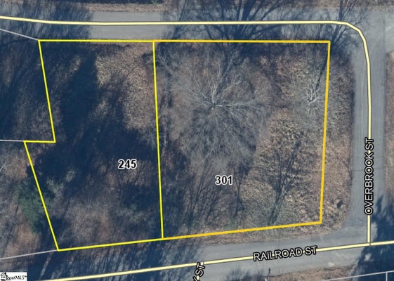 245 RAILROAD ST, PICKENS, SC 29671 - Image 55f63bfdda48bf1f7630f6ed9b2c07a5/2069169930
