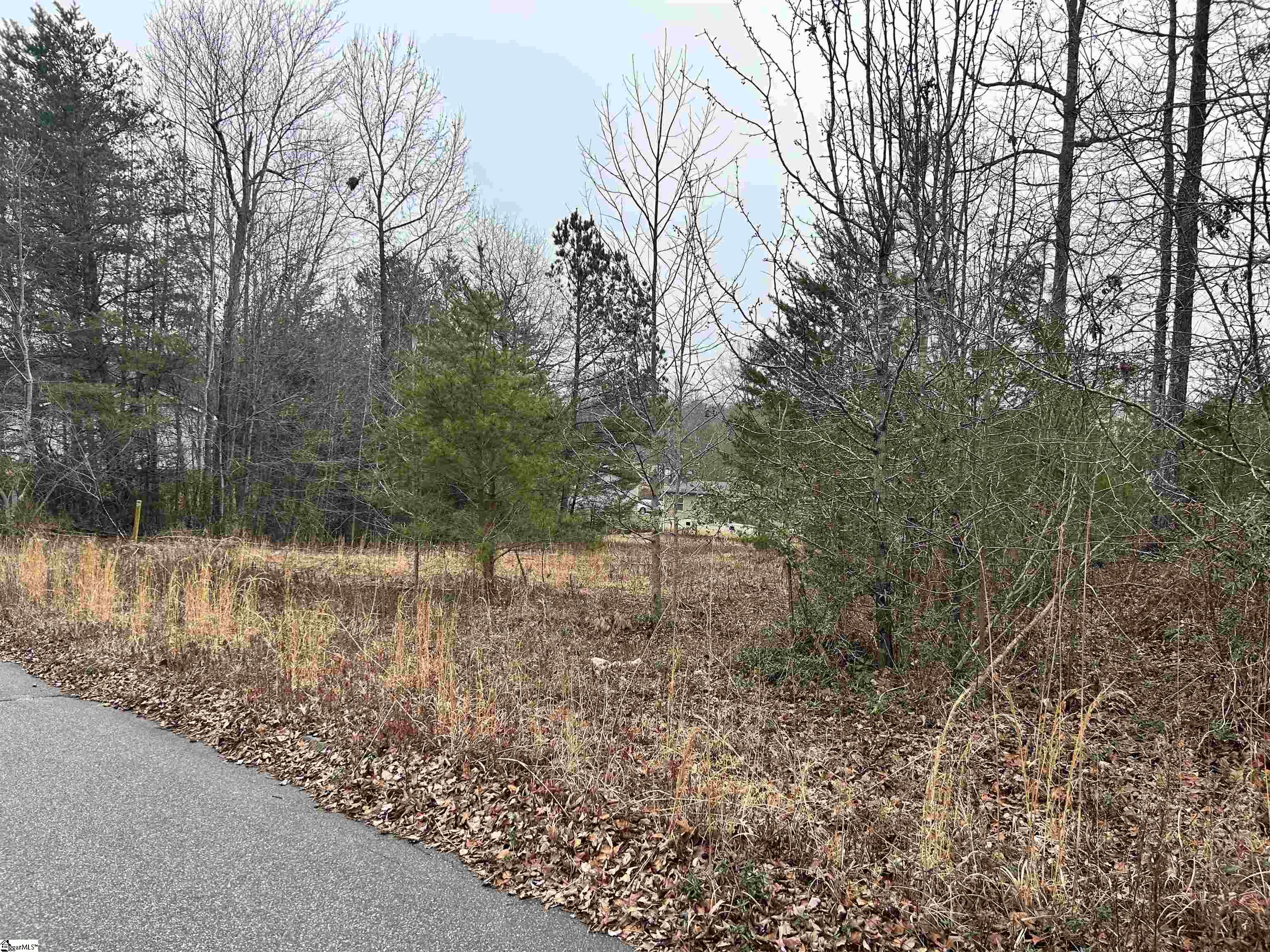 Marietta, South Carolina 29661, United States, ,Land,Contingent,87630