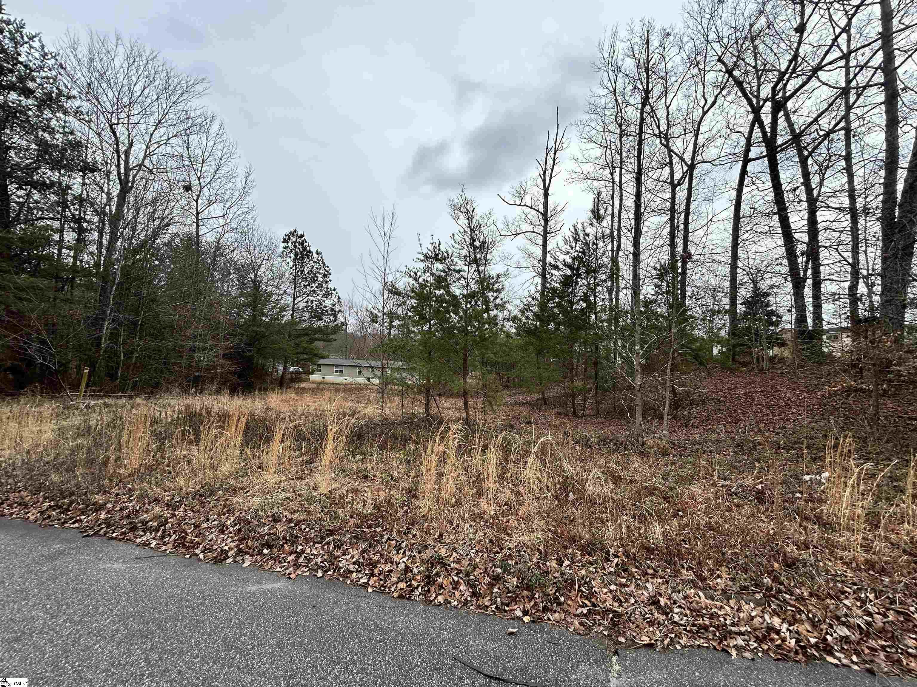 Marietta, South Carolina 29661, United States, ,Land,Contingent,87630