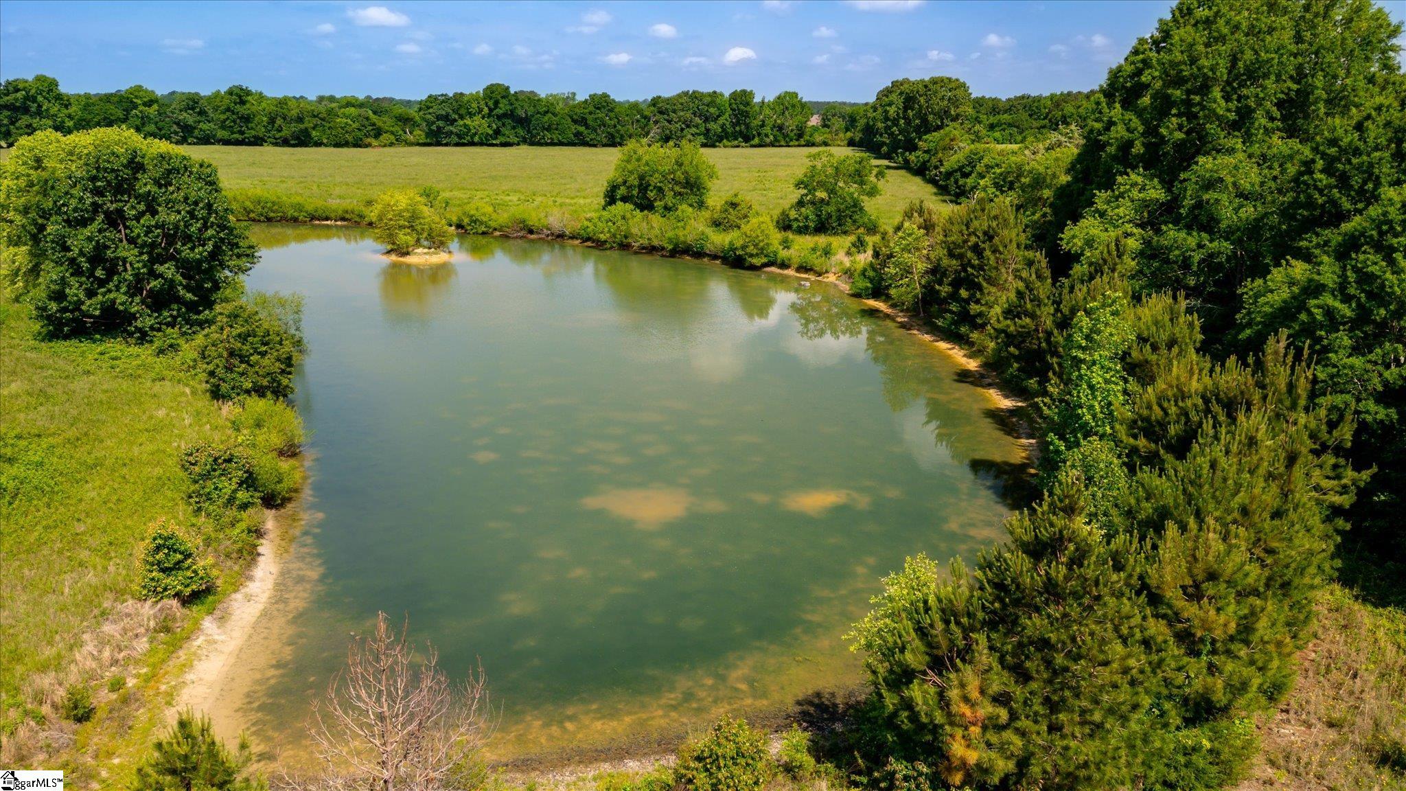 Clinton, South Carolina 29325, United States, 3 Bedrooms Bedrooms, ,2 BathroomsBathrooms,Residential,Pending,127902