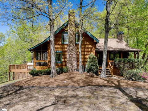 Photo of 100 Eagle Rock Road, Landrum, SC 29356 (MLS # 1589388)