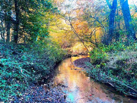 0 Craigo Road Fountain Inn SC 29644