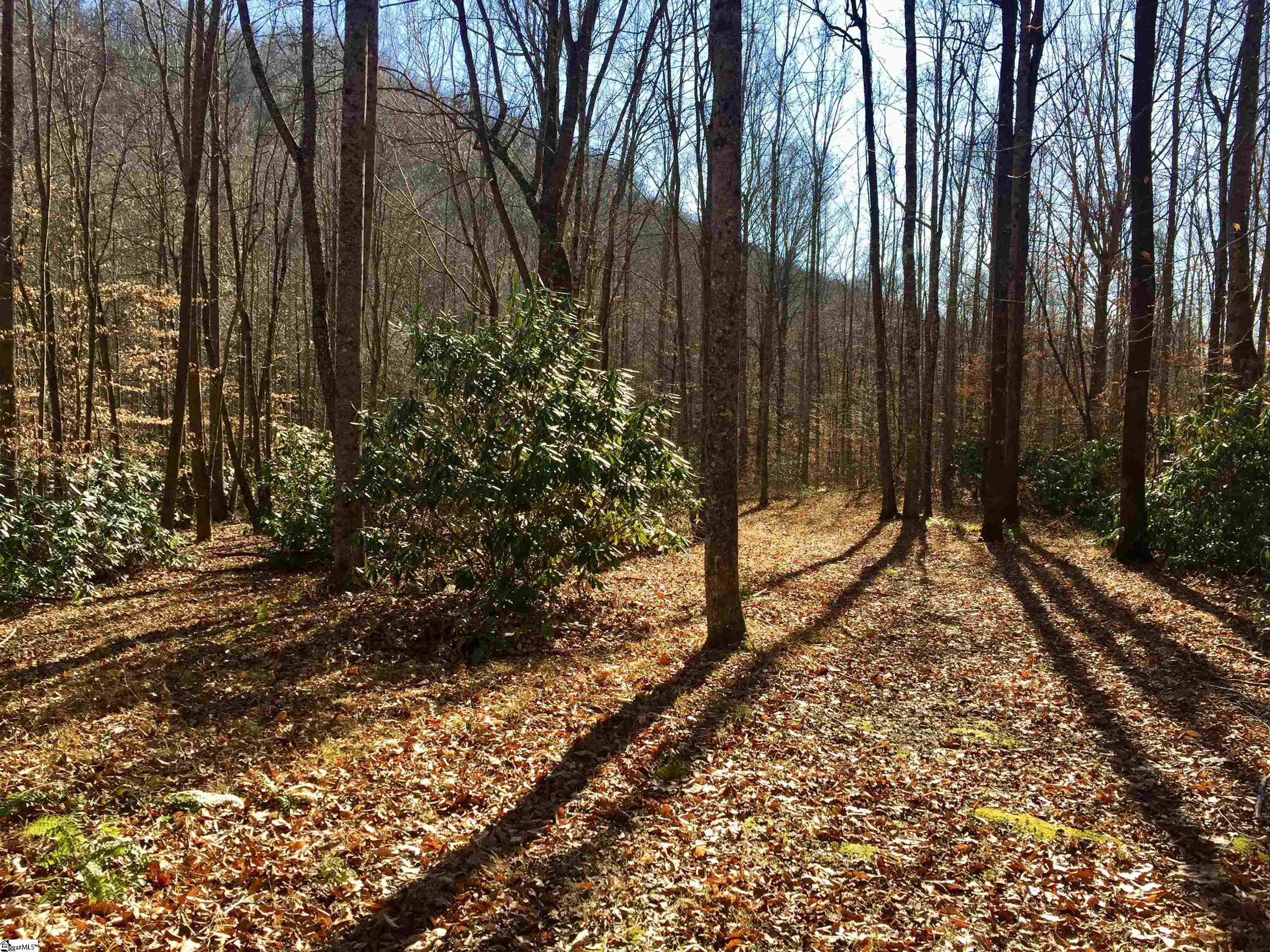 180 Painter Creek Road