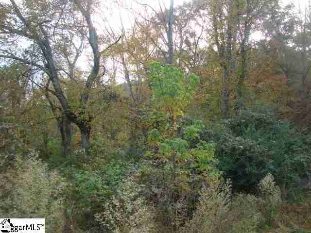 Photo 1 of 13 — 00 S Mcduffie Street Ext., Anderson, SC 29625
