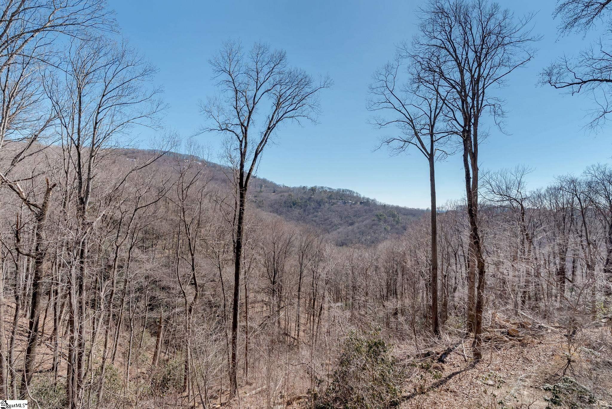 1338 Panther Park Trail