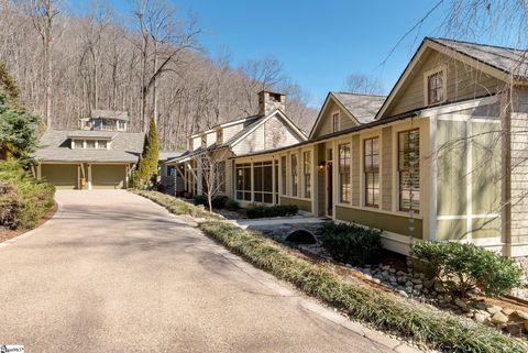 Photo of 1338 Panther Park Trail, Travelers Rest, SC 29690 (MLS # 1582415)