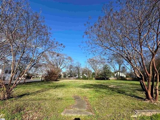 10 DAVID ST, GREENVILLE, SC 29609 - Image 634ecb7063c998eea38fb12bd752fd39/2625772338