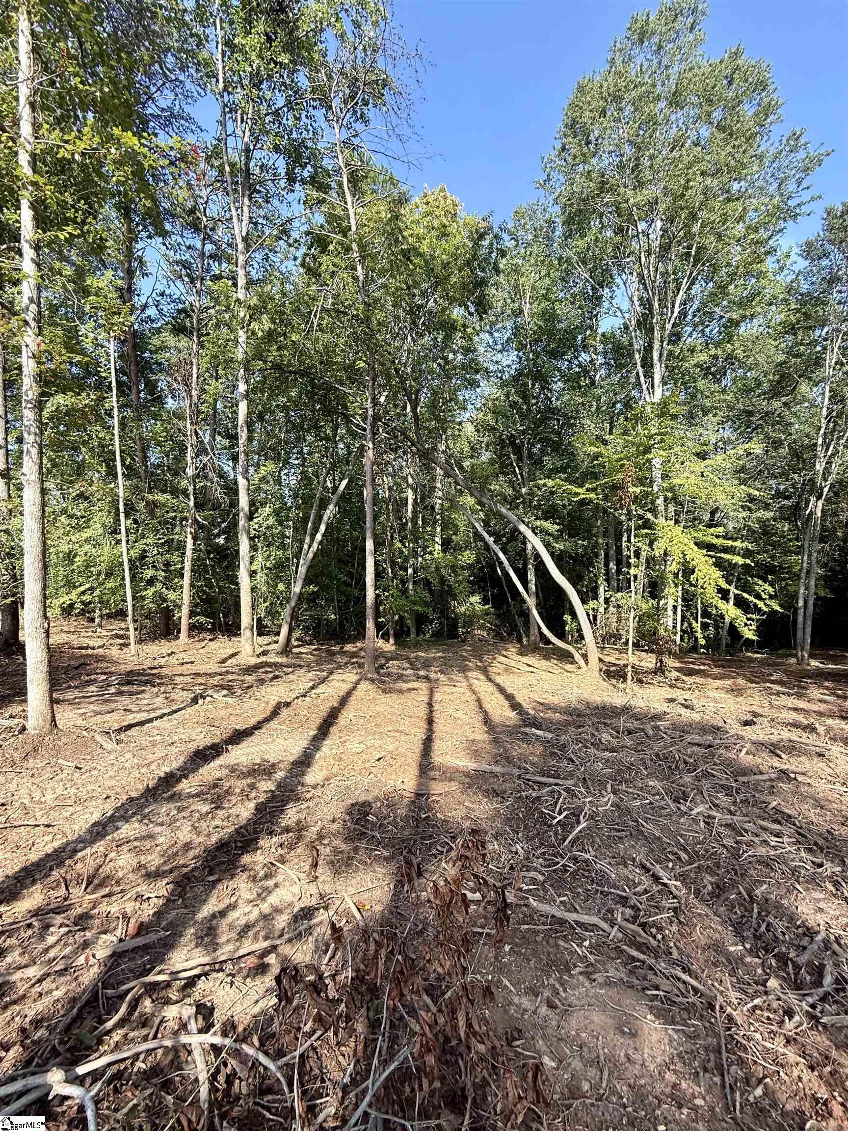 Photo 1 of 16 — 0 Thompson Road Lot 3, Greer, SC 29651