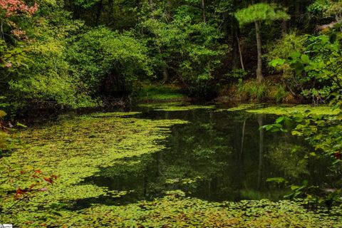 S. Packs Mtn Road Taylors SC 29687