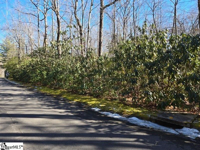 112 Hemlock Trail