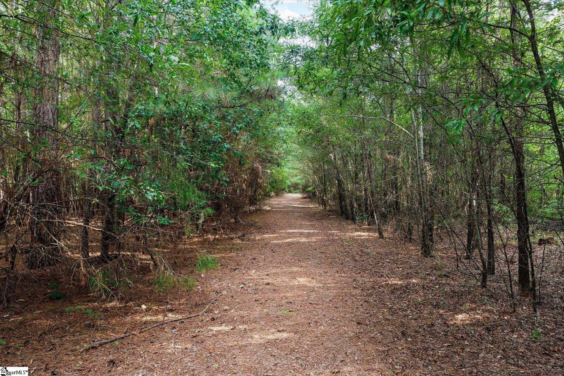 737 Burnt Mill Creek Road, Mountville, SC, 29370
