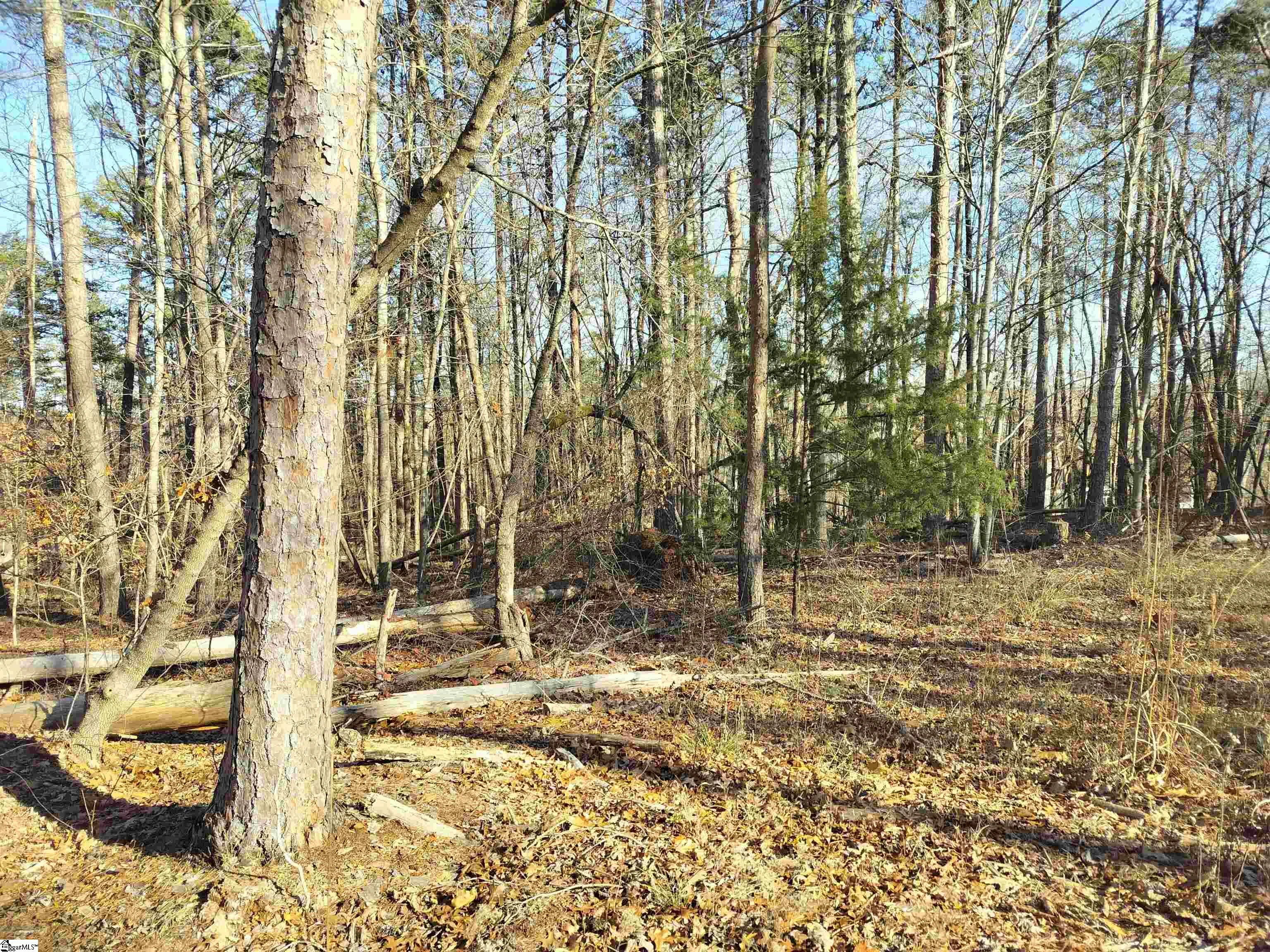 343 Beech Drive