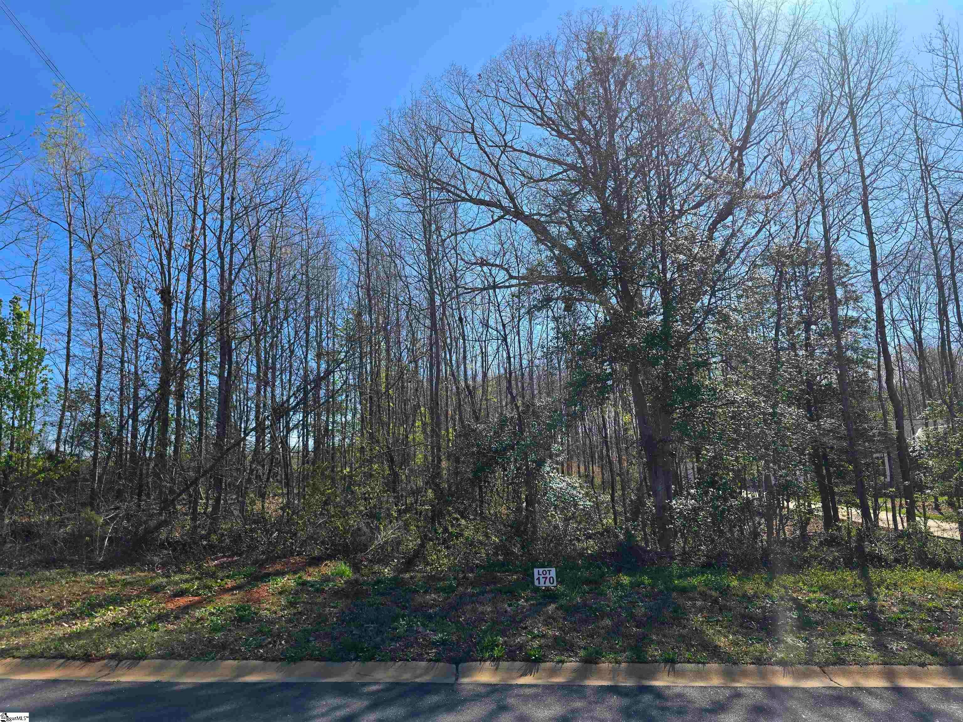 103 Lipizzaner Court, Pelzer, SC, 29669