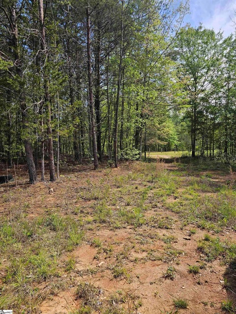 Photo for 200 Tommys Trail