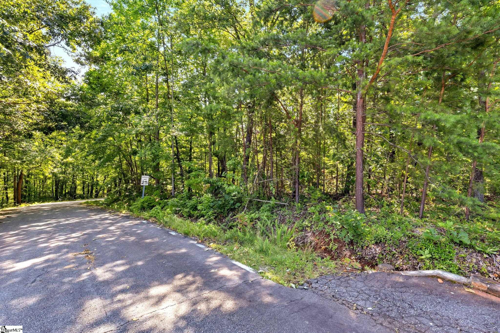 Pickens, South Carolina 29671, United States, ,Land,Active,165600