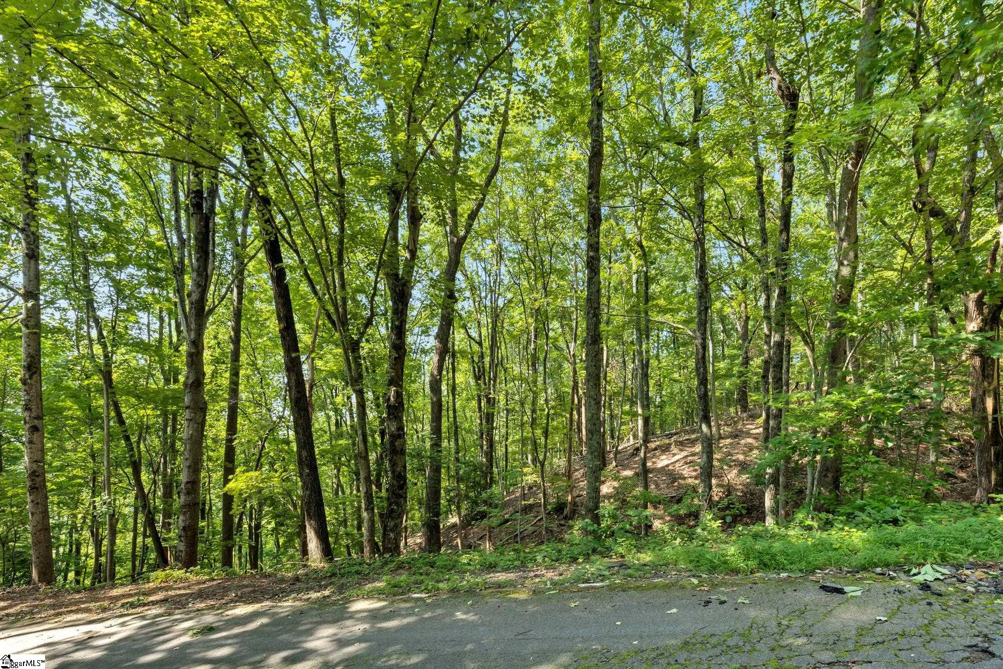 Pickens, South Carolina 29671, United States, ,Land,Active,165600