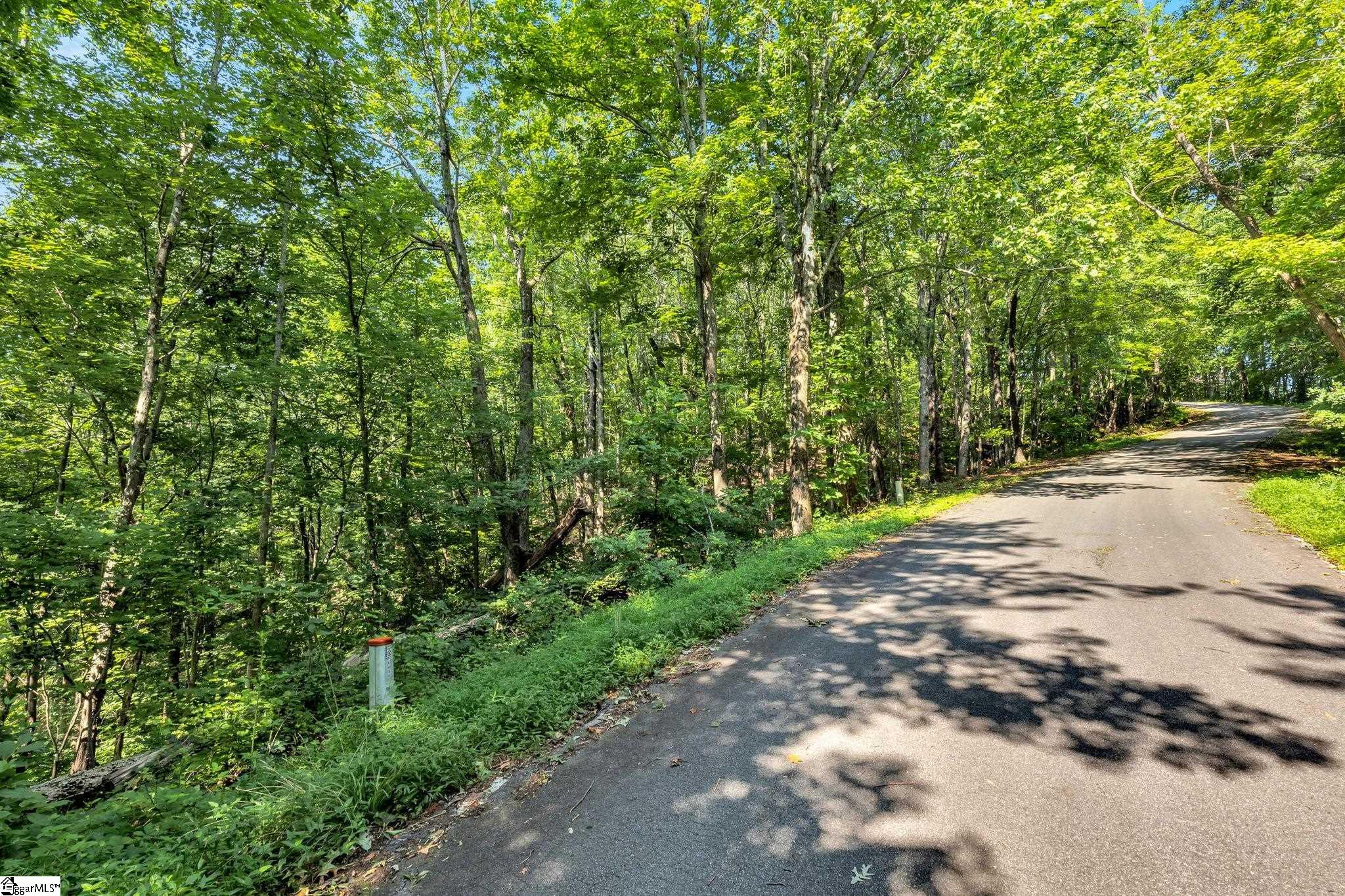 Pickens, South Carolina 29671, United States, ,Land,Active,165600