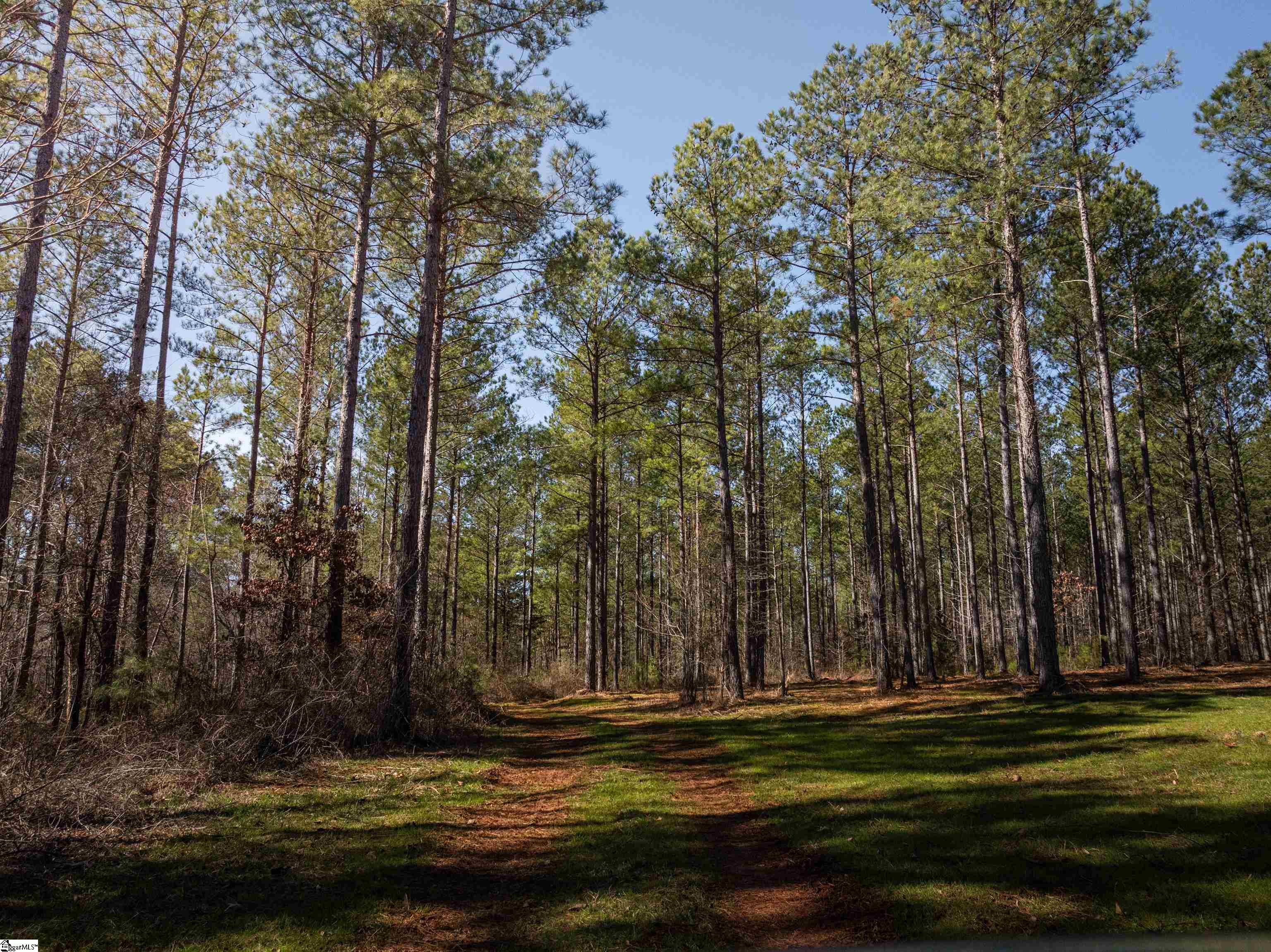 002A Simms Mill Road Lot A