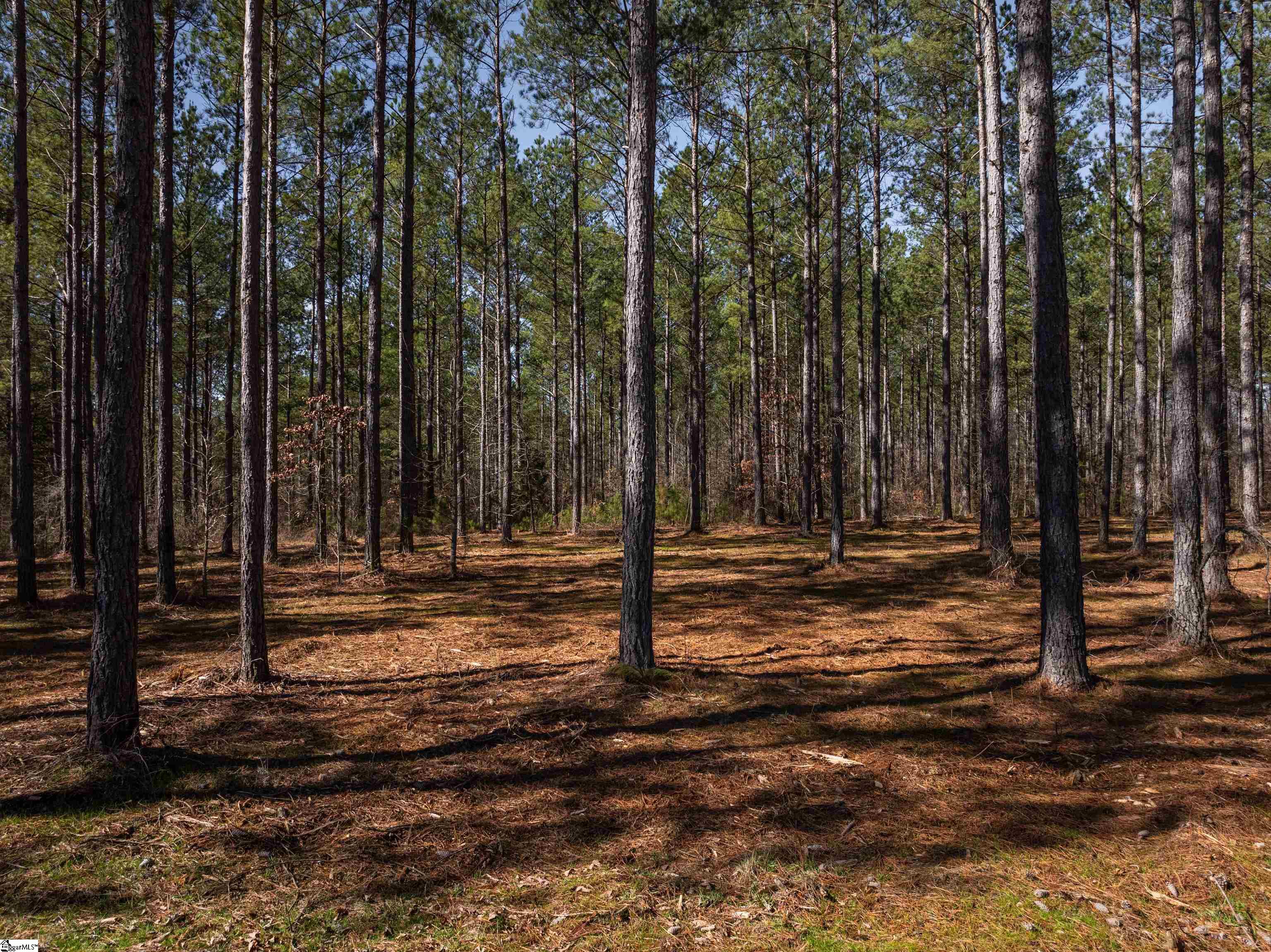 002A Simms Mill Road Lot A