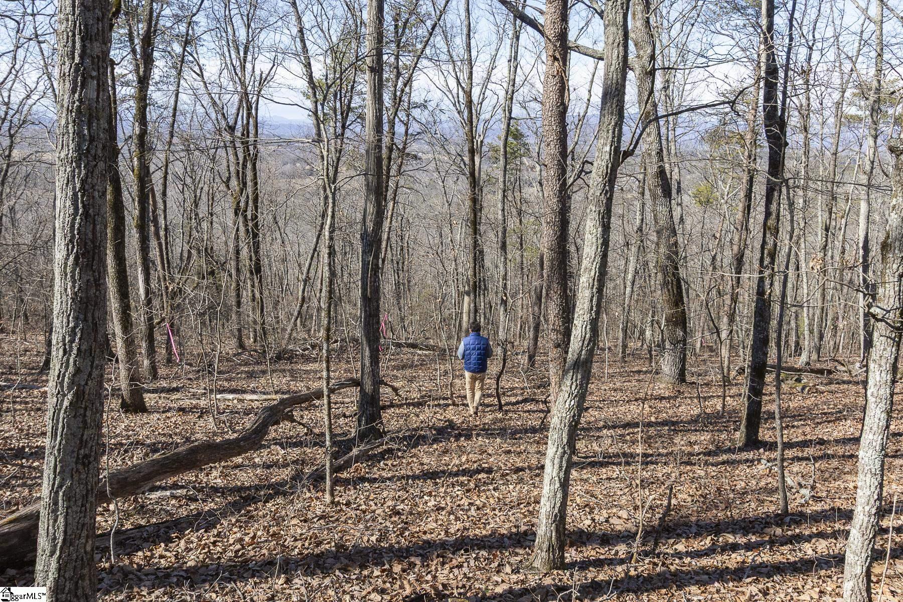 363 Glassy Mountain Church Road