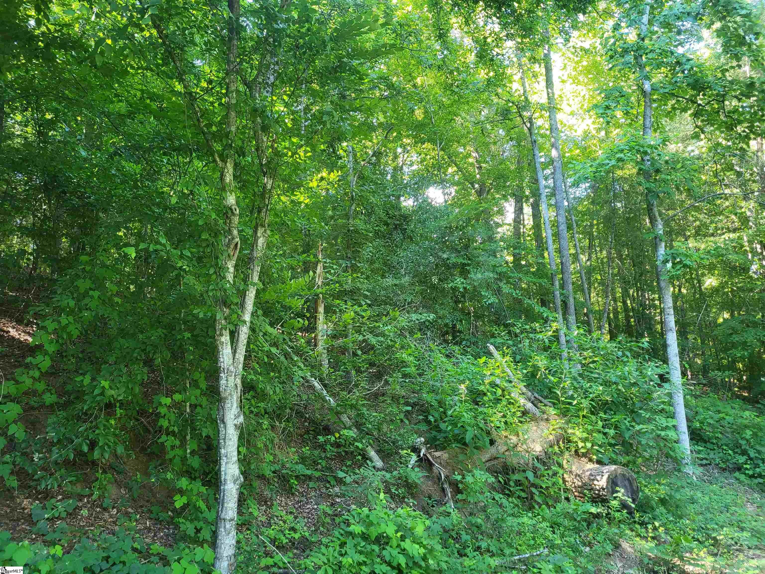 00 Hidden Valley Road, Marietta, SC, 29661