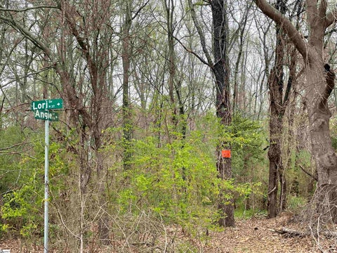 Photo of 00 Highway 146, Simpsonville, SC 29681 (MLS # 1605654)