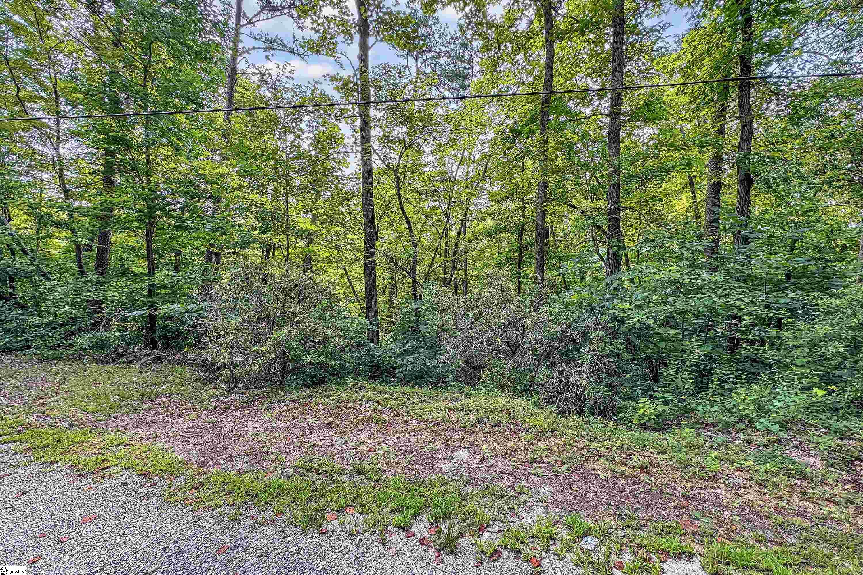 Landrum, South Carolina 29356, United States, ,Land,Active,48871