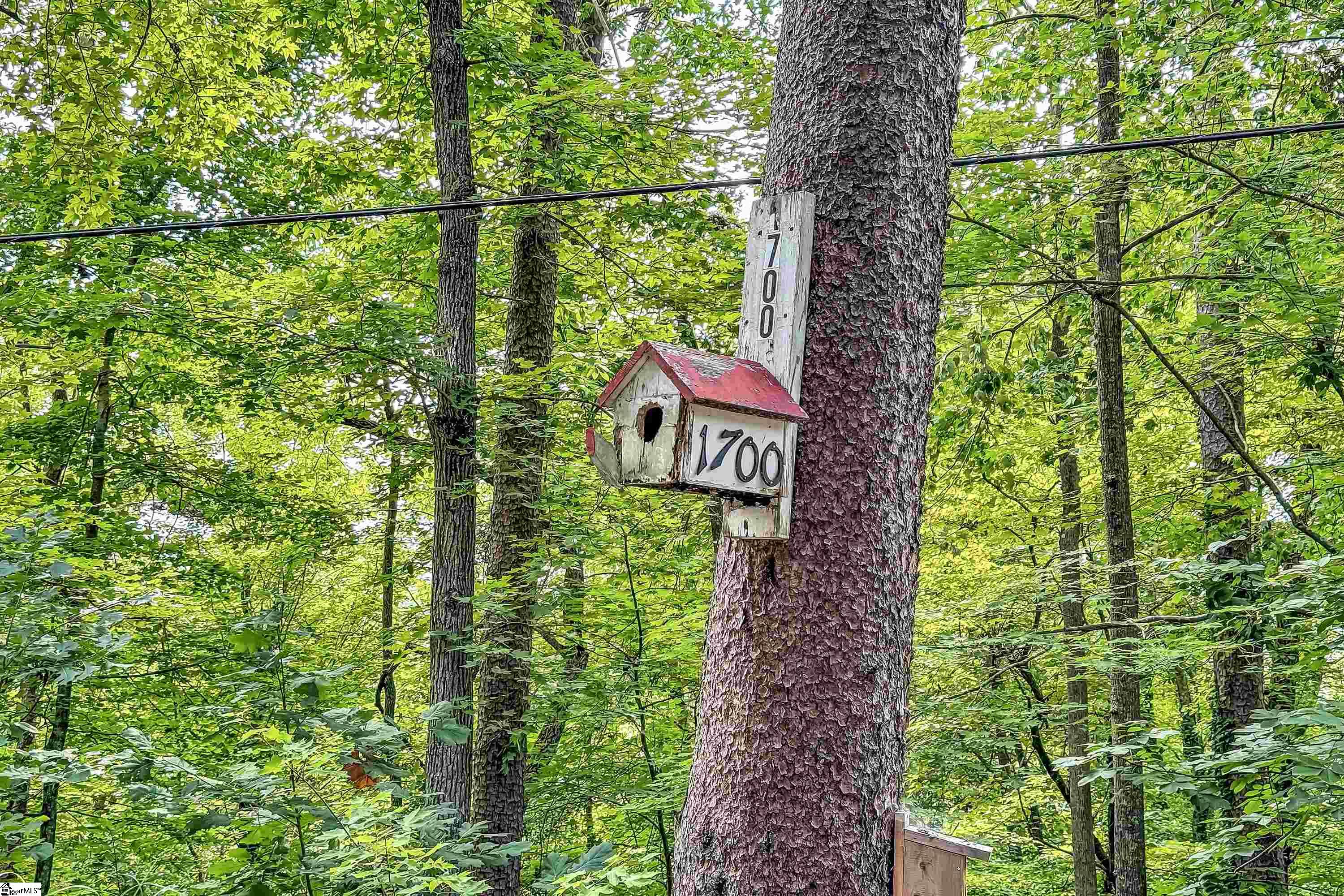 Landrum, South Carolina 29356, United States, ,Land,Active,48871