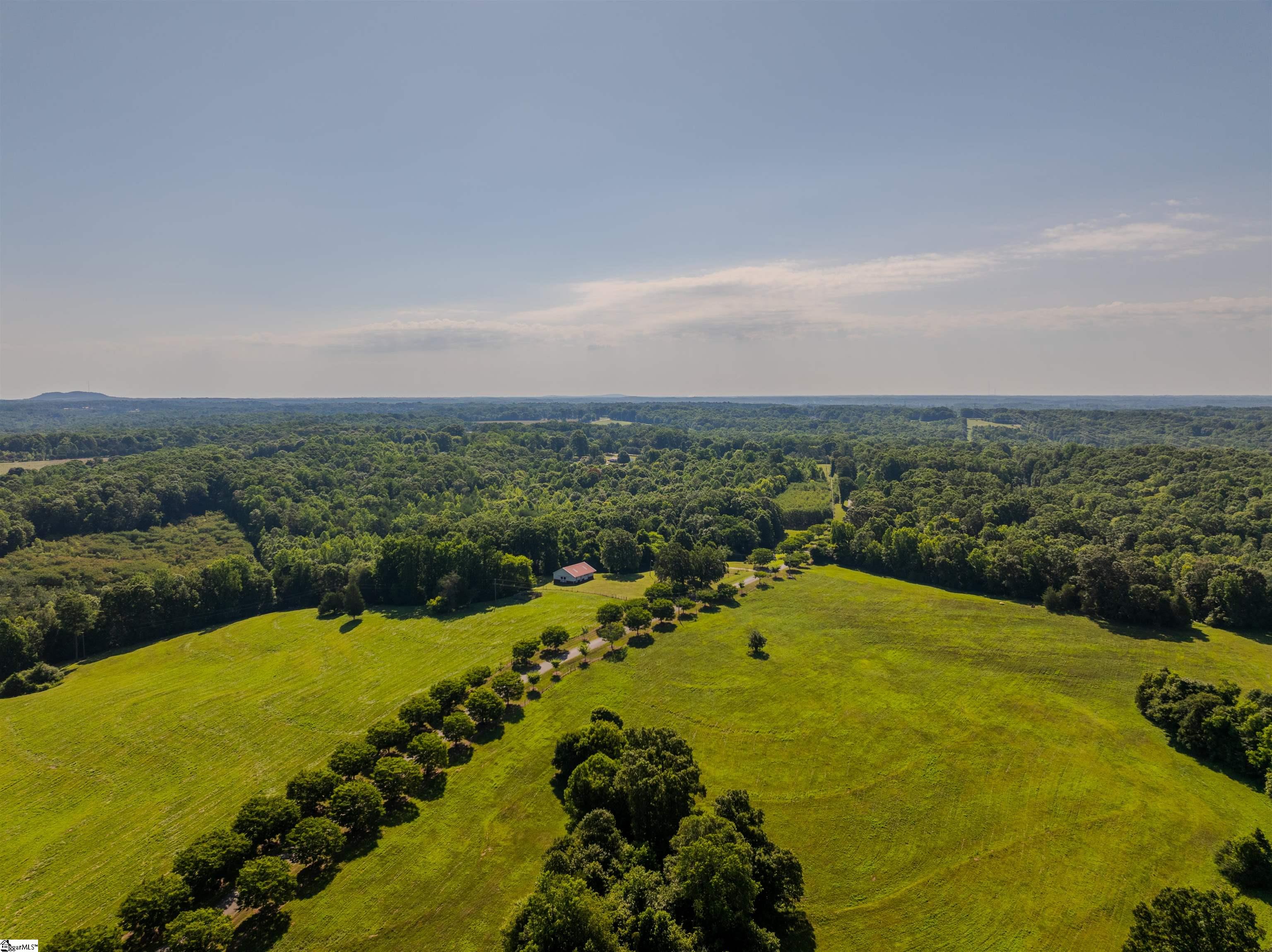 00 Forest View Road