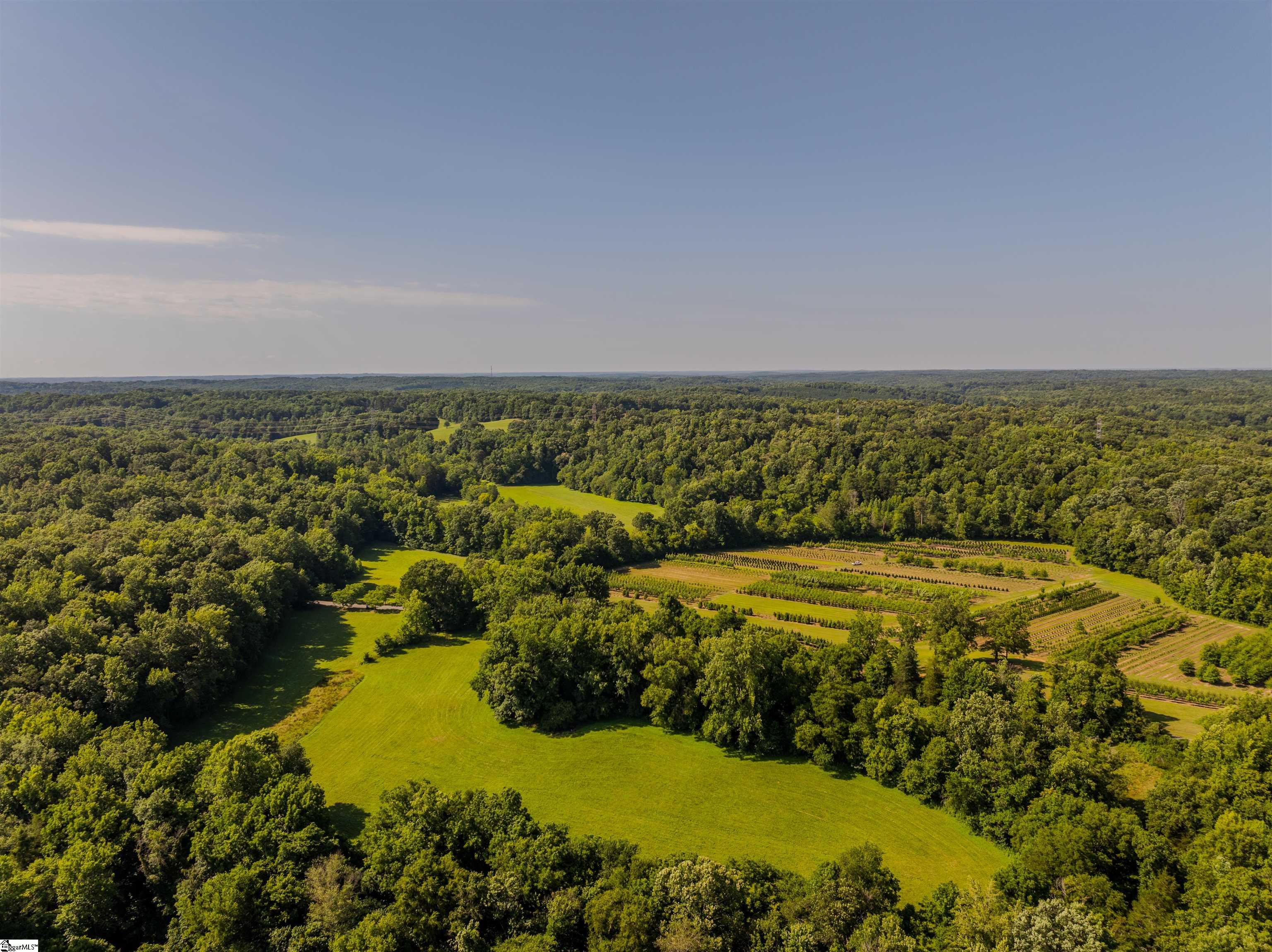 00 Forest View Road