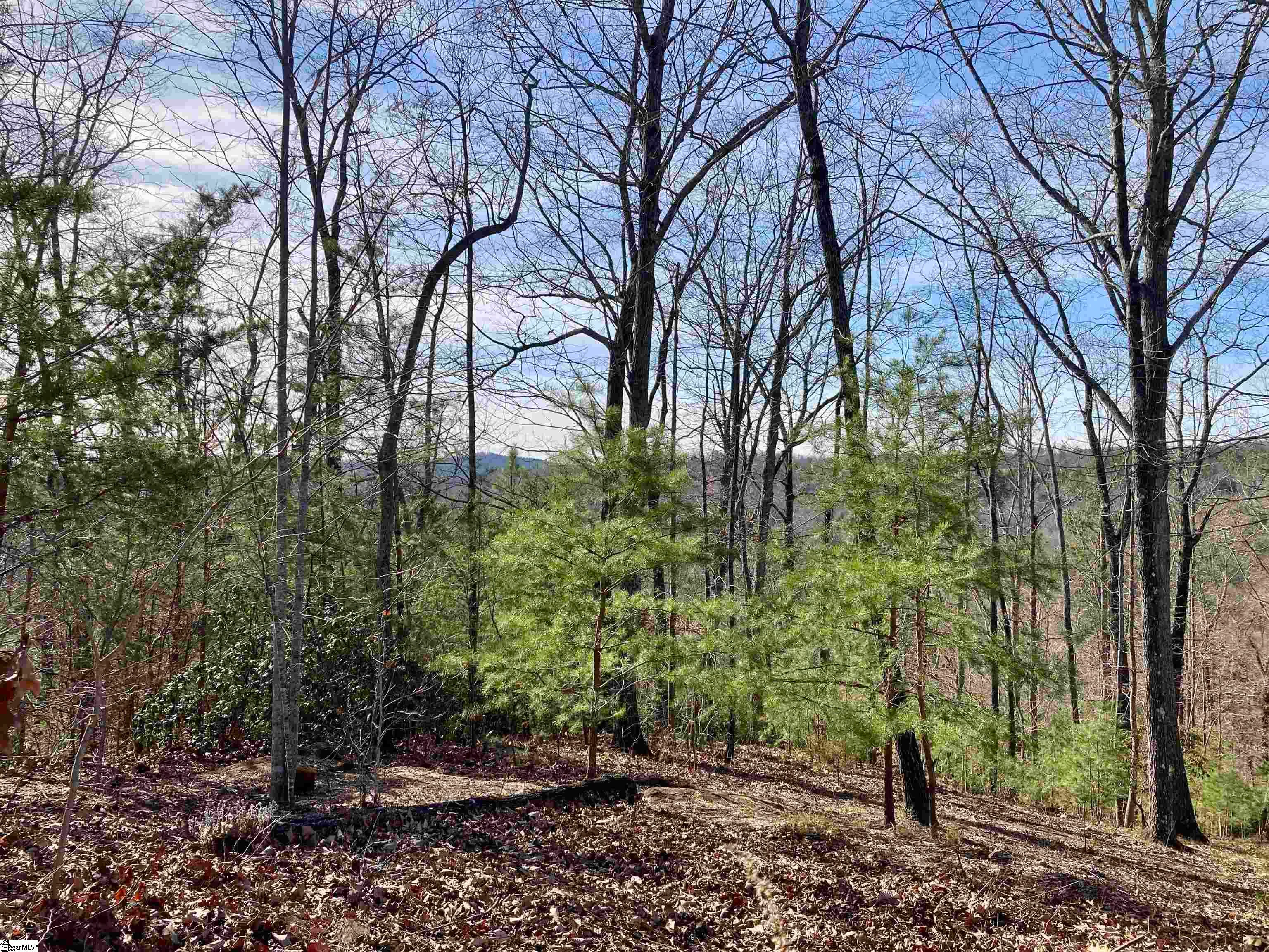 435 Augusta Links Trail
