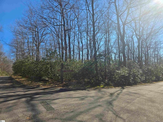 7 BIRCHBEND, CLEVELAND, SC 29635 - Image 78b82b5d2721787c8a44eefe69d413b3/1646620616