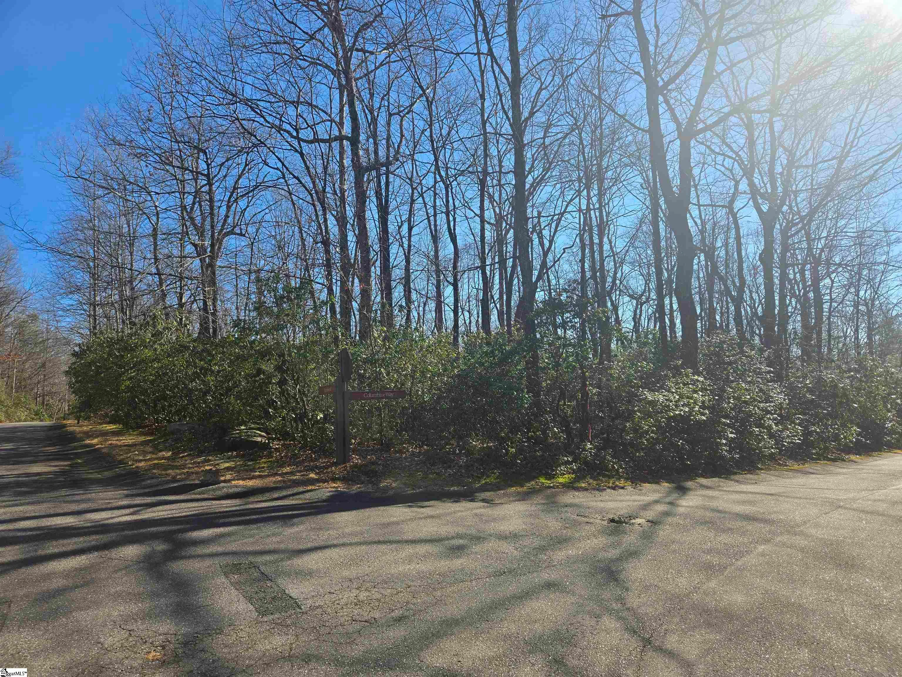 00 Birchbend