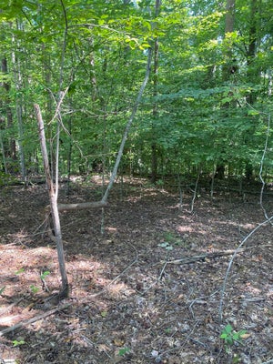 220 LAUREL DR, WESTMINSTER, SC 29693 - Image 7cae2b7aaa8e9022af079bbbf8988ce6/1850173482