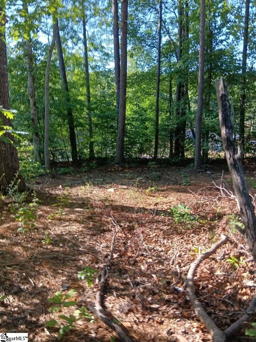 133 Sunny Lane