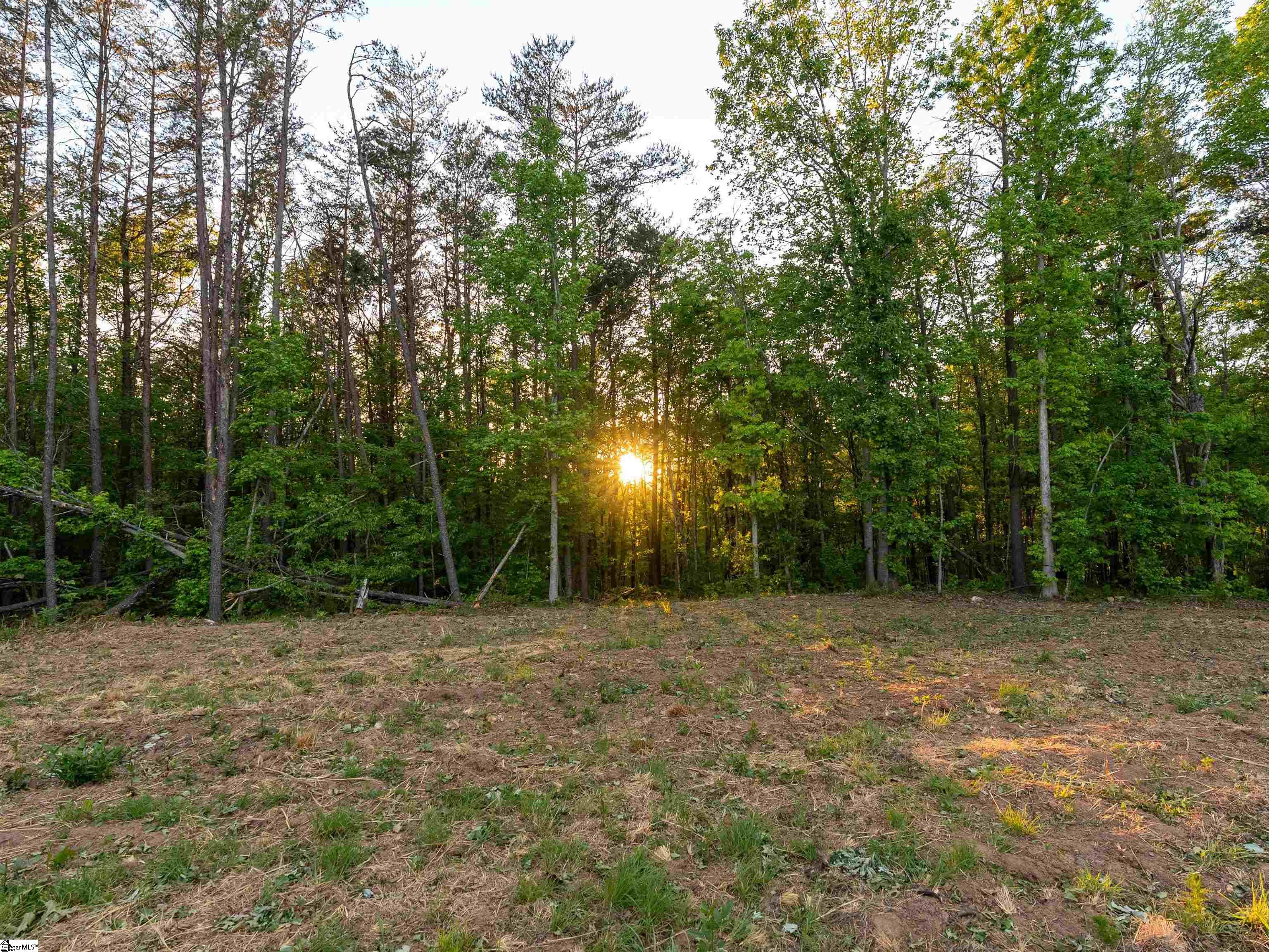 1717 State Highway 11