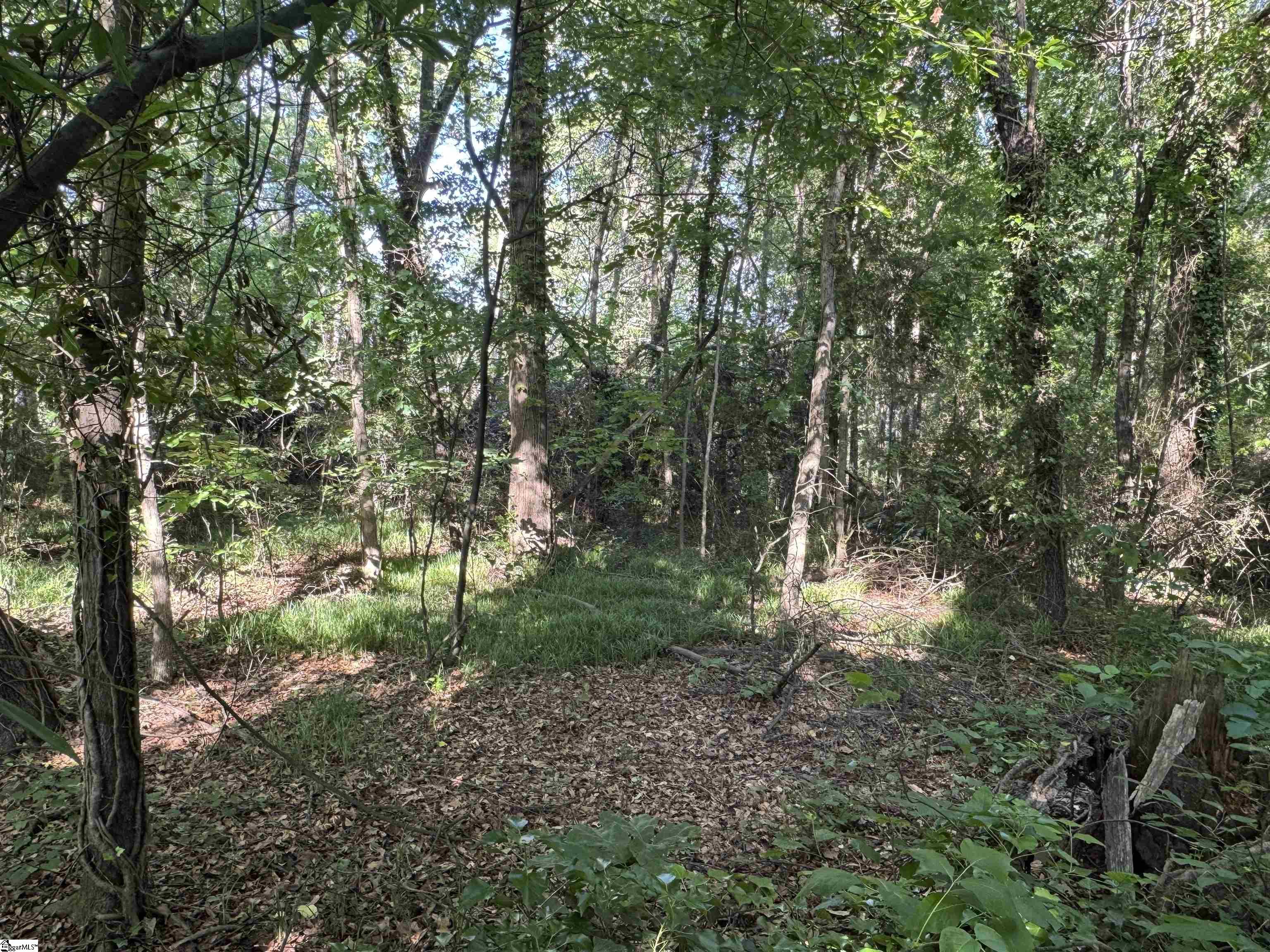 00 Owens Road