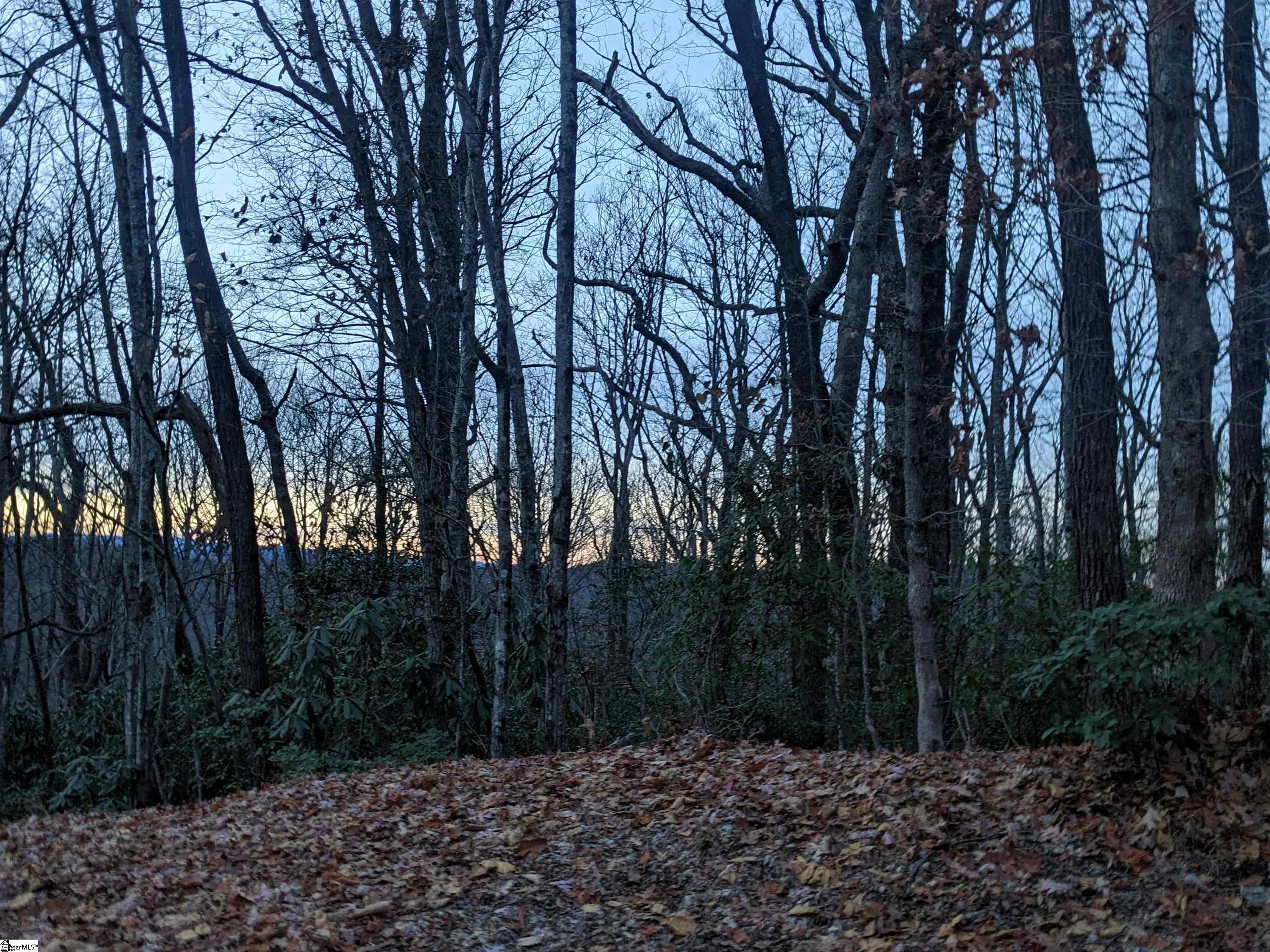 609 Cliff Ridge Drive