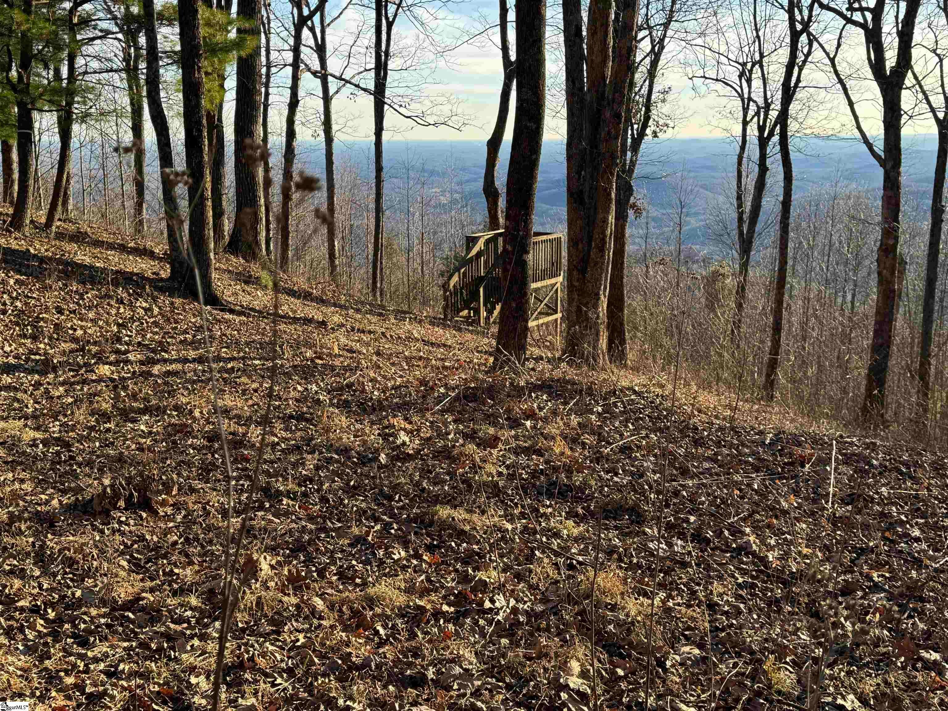 246 Bella Vista Court, Zirconia, NC, 28790