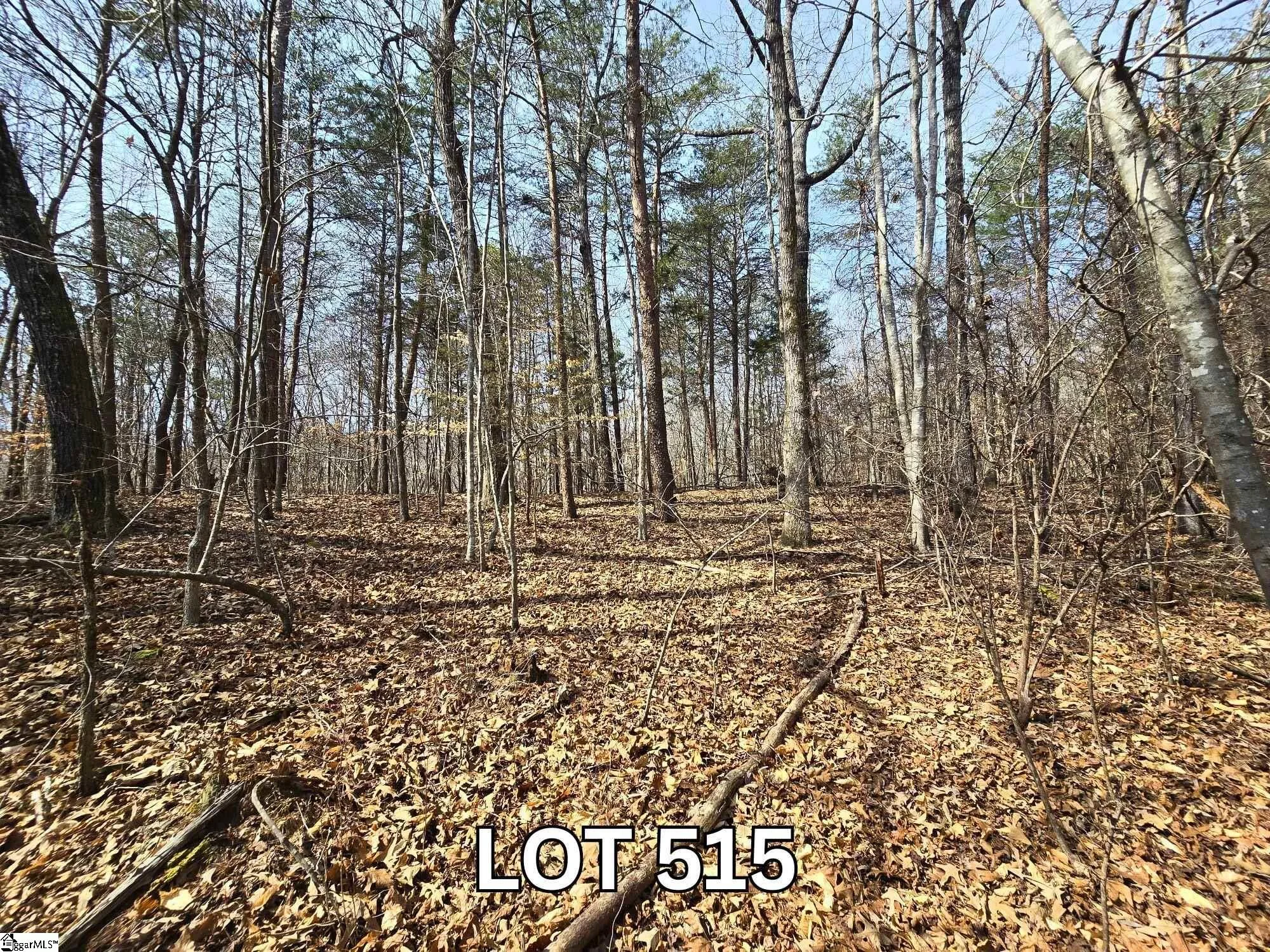 Lot 515 Point Road
