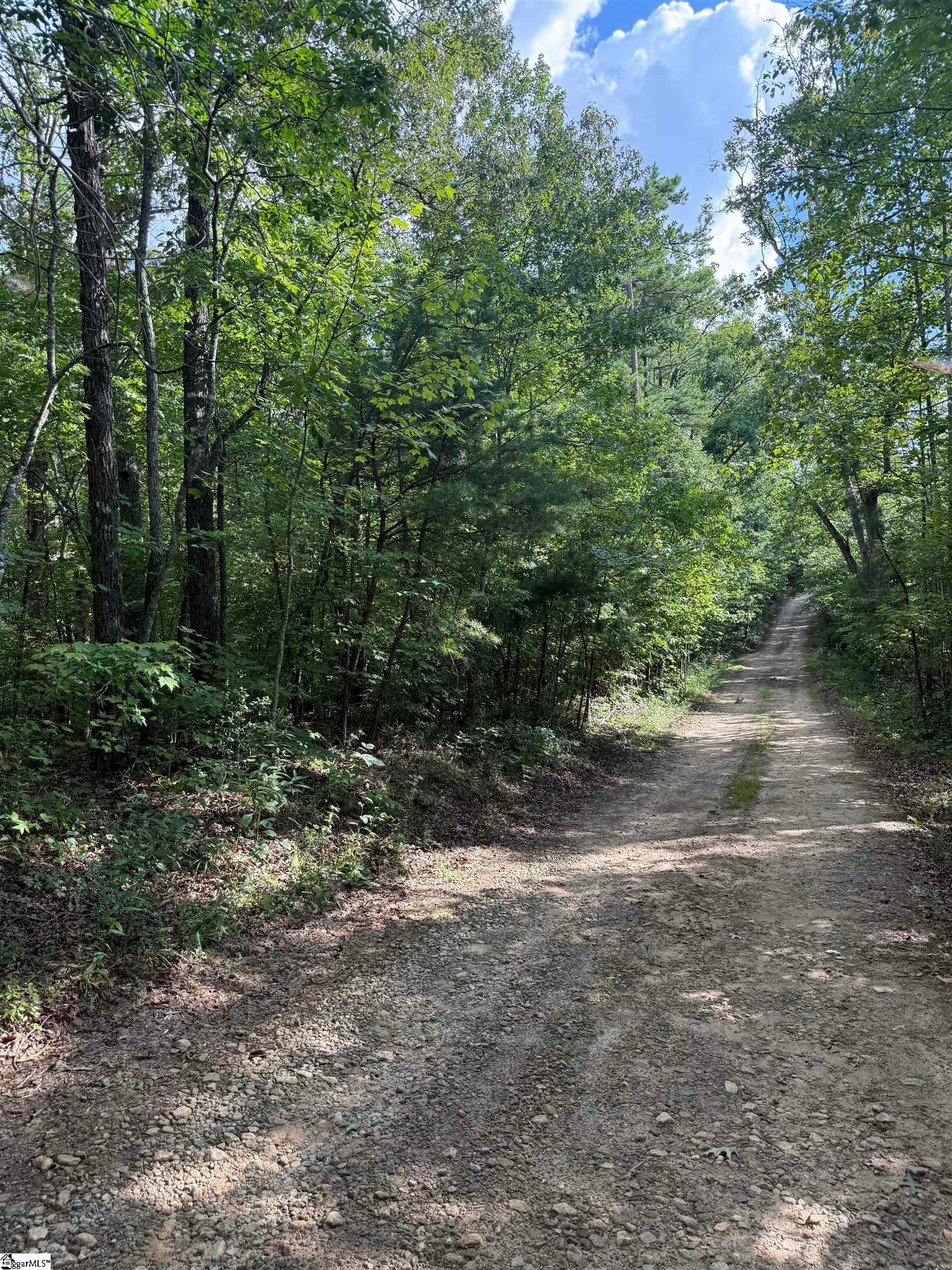00 Daves Valley Road