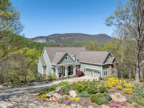 Photo of 33 Eagle Rock Road, Landrum, SC 29356 (MLS # 1588875)