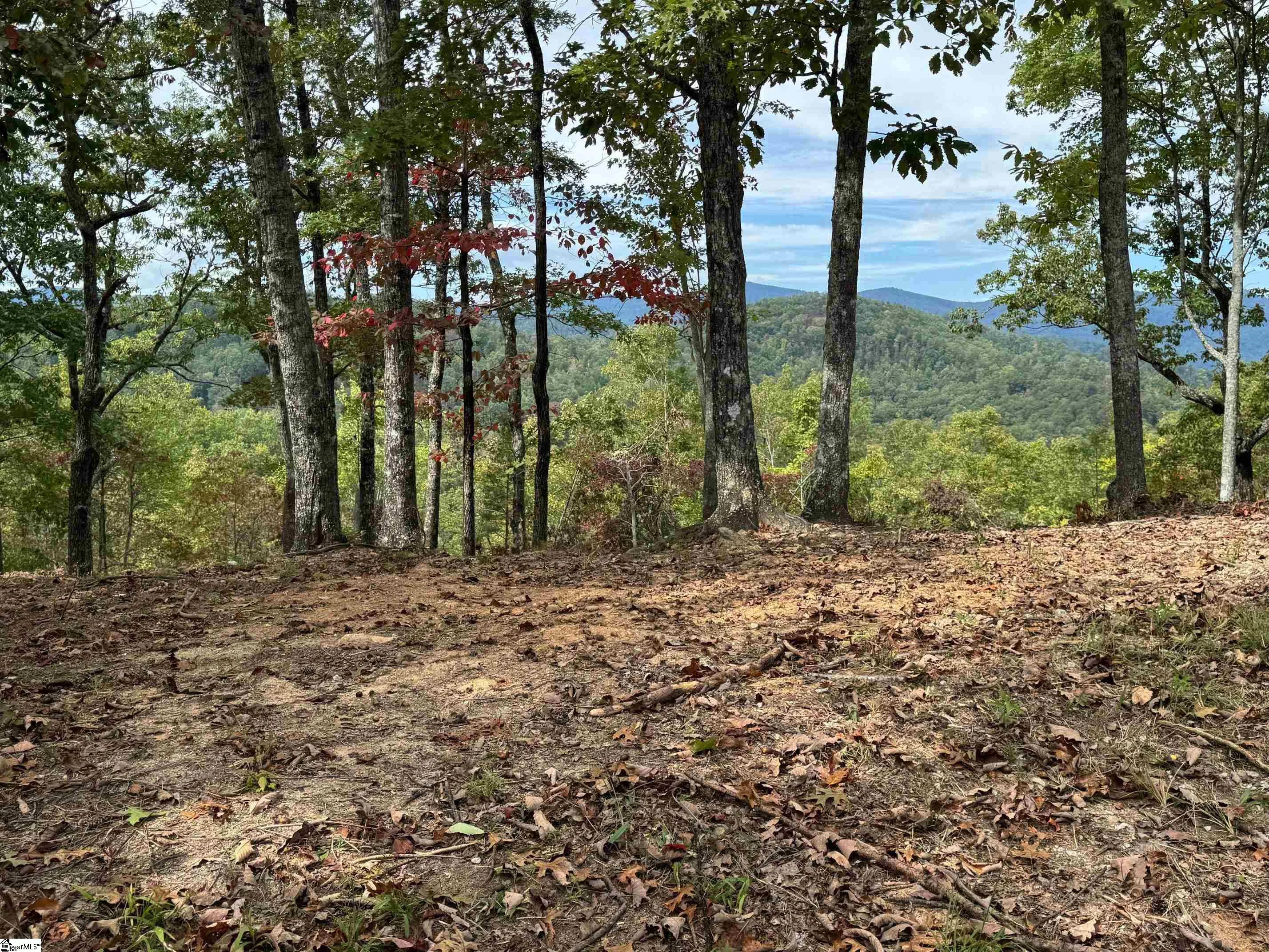 230 Blue Bonnet Trail