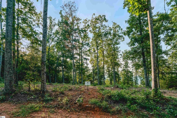 200 CHESTNUT MOUNTAIN RD LOT 5, TRAVELERS REST, SC 29690 - Image 8d59b9983d5bc0cd663bec2e14ceb9ae/3734286280