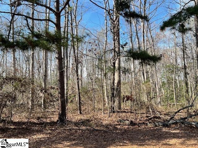 141 Katora Lane, Pelzer, SC, 29669