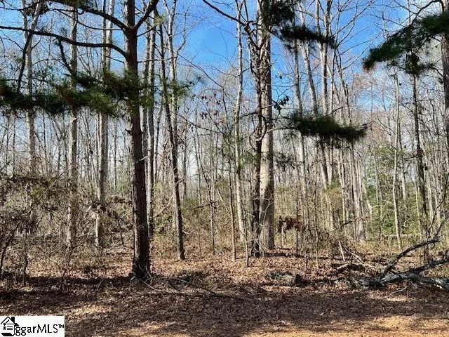 141 Katora Lane, Pelzer, SC, 29669