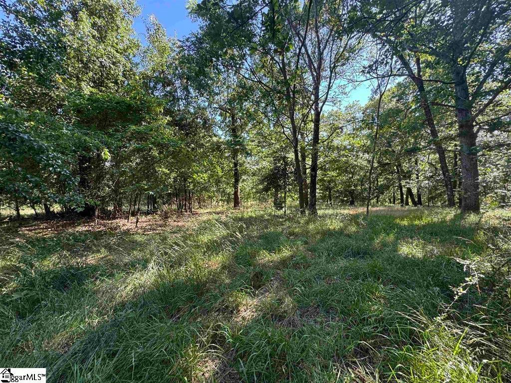 00 Farmers Hill Road, Liberty, SC, 29657