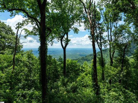 22 Raven Road Landrum SC 29356