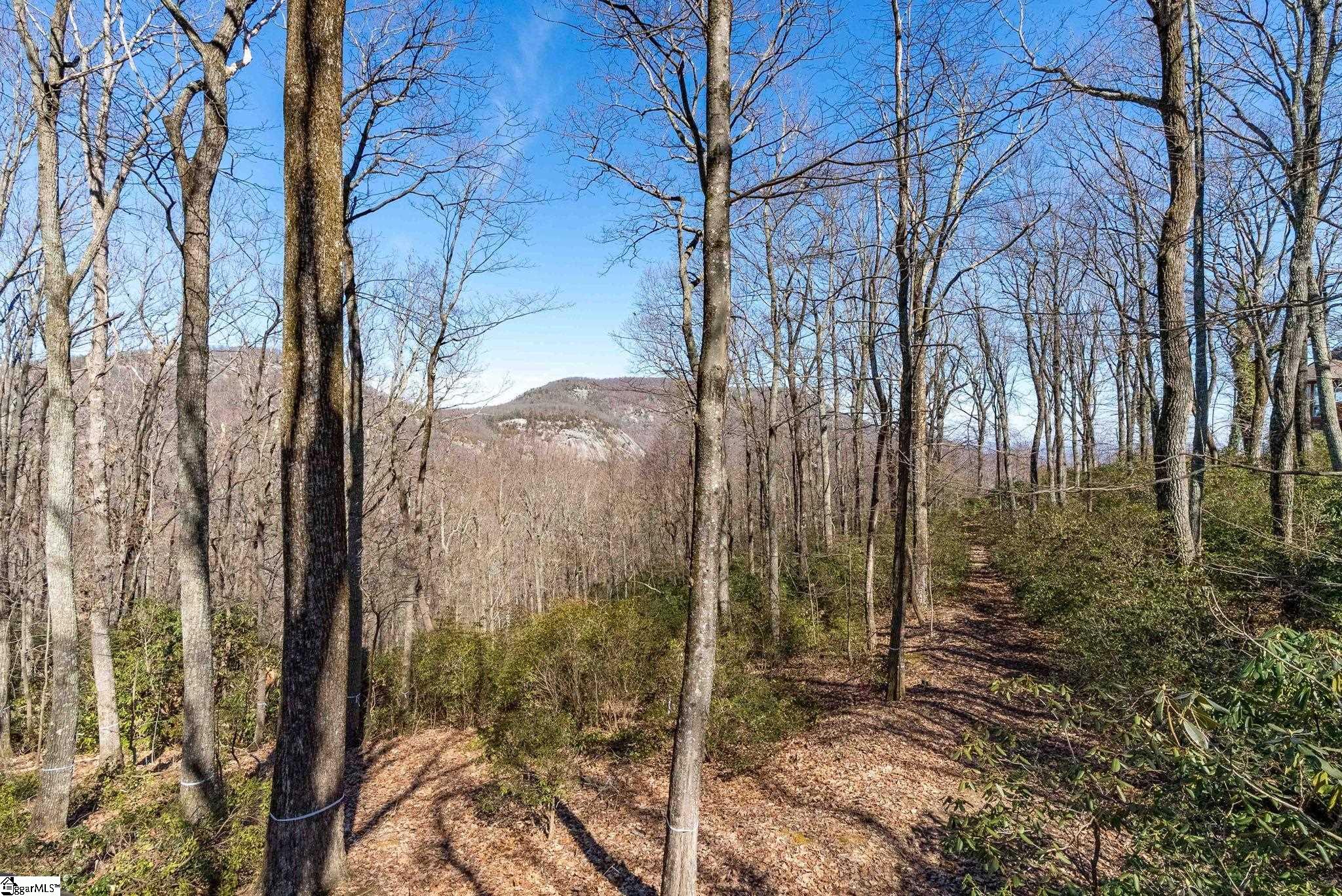 May Apple Way Lot 232