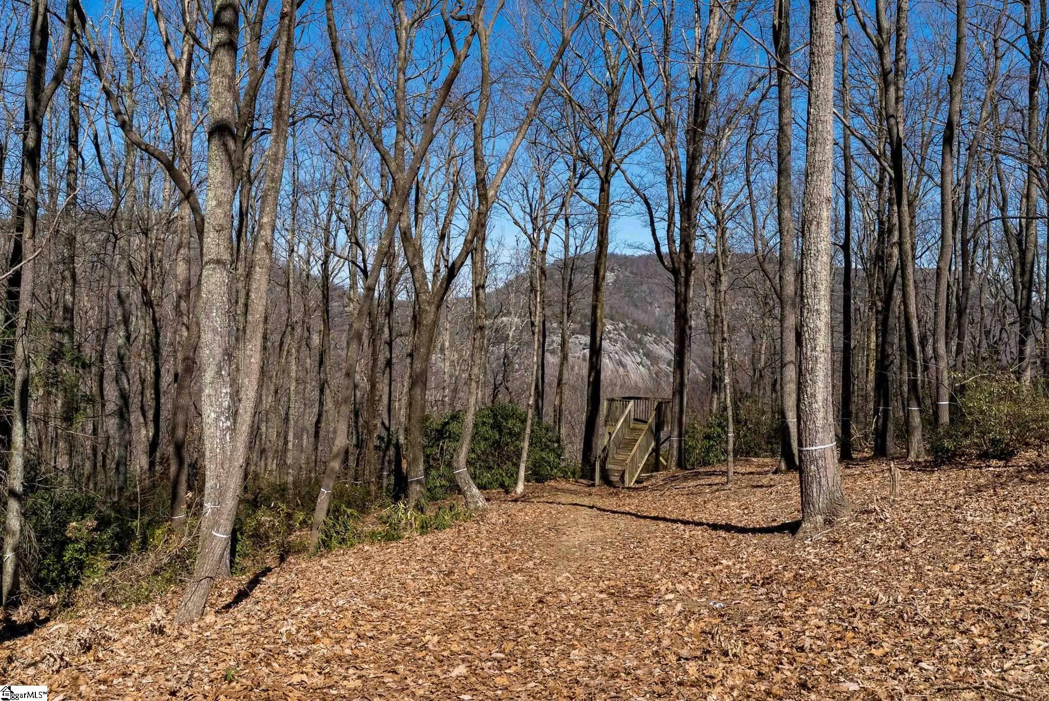 May Apple Way Lot 232